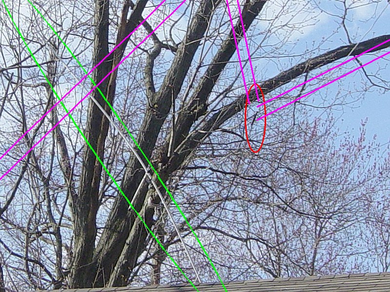 HF antenna photo